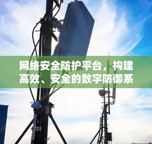 网络安全防护平台，构建高效、安全的数字防御系统