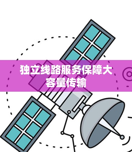 独立线路服务保障大容量传输