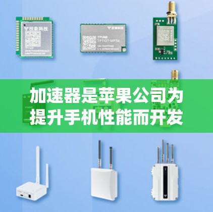 加速器是苹果公司为提升手机性能而开发的核心硬件加速系统。它分为主加速器和副加速器两部分，分别负责不同的任务处理需求。主加速器通常用于处理基础和日常任务，而副加速器则用于特殊情况，如无线连接请求