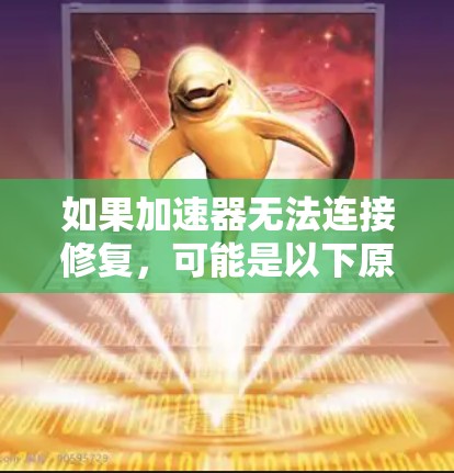 如果加速器无法连接修复，可能是以下原因导致的
