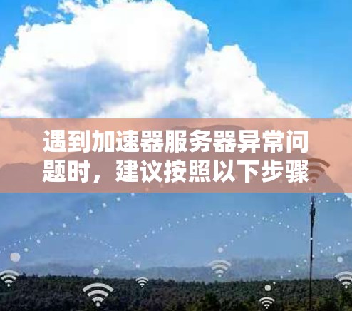 遇到加速器服务器异常问题时，建议按照以下步骤进行排查和解决问题