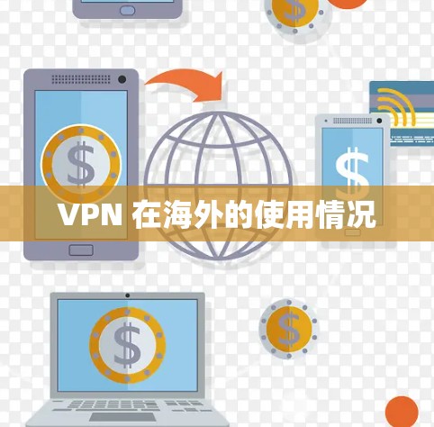 VPN 在海外的使用情况