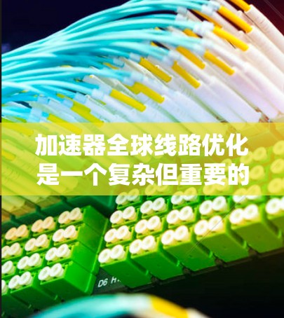 加速器全球线路优化是一个复杂但重要的任务，涉及多个方面和因素。以下是对优化加速器全球线路的详细分析和建议