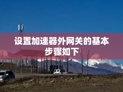 设置加速器外网关的基本步骤如下