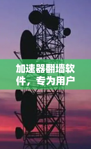 加速器翻墙软件，专为用户打造的高效加速工具