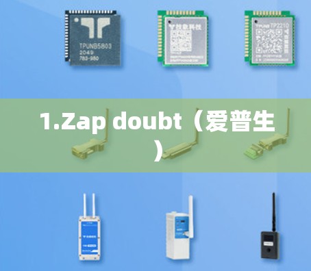 1.Zap doubt(爱普生) 1.Zap doubt(爱普生)