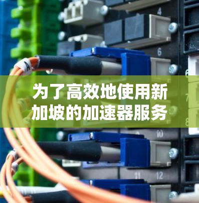 为了高效地使用新加坡的加速器服务器,您可以按照以下步骤进行操作 为了高效地使用新加坡的加速器服务器,您可以按照以下步骤进行操作