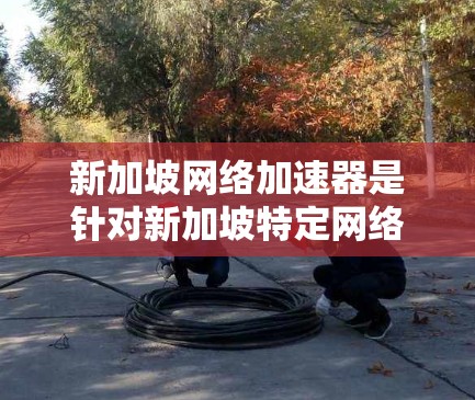 新加坡网络加速器是针对新加坡特定网络环境提供数据传输和处理功能的工具,帮助用户提升数据传输效率。以下是对新加坡网络加速器的详细介绍 新加坡网络加速器是针对新加坡特定网络环境提供数据传输和处理功能的工具,帮助用户提升数据传输效率。以下是对新加坡网络加速器的详细介绍