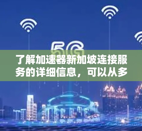 了解加速器新加坡连接服务的详细信息，可以从多个角度进行全面分析