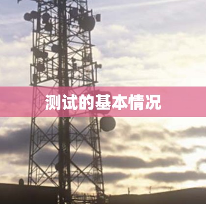 测试的基本情况 测试的基本情况