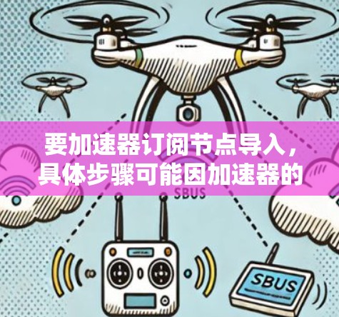 要加速器订阅节点导入，具体步骤可能因加速器的版本和功能而异，但通常涉及以下步骤