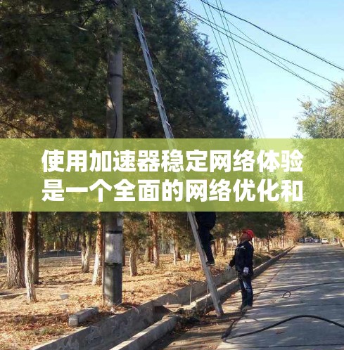 使用加速器稳定网络体验是一个全面的网络优化和性能调整过程，涉及多个参数和功能模块。以下是详细的步骤指南