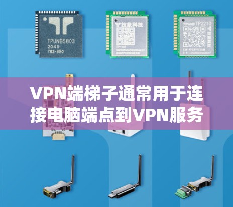 VPN端梯子通常用于连接电脑端点到VPN服务器，具体步骤如下
