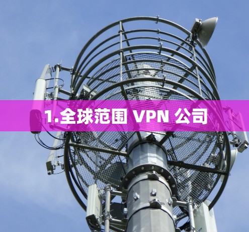 1.全球范围 VPN 公司