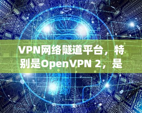 VPN网络隧道平台，特别是OpenVPN 2，是一种功能丰富、灵活性高的VPN工具，专为在虚拟空间中进行视频或文件的加密传输设计。以下是该平台的详细介绍