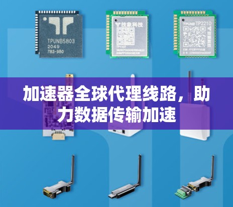 加速器全球代理线路，助力数据传输加速