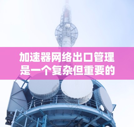 加速器网络出口管理是一个复杂但重要的网络管理任务，涉及硬件设备、协议理解和配置。以下是对加速器网络出口管理的详细分析和总结