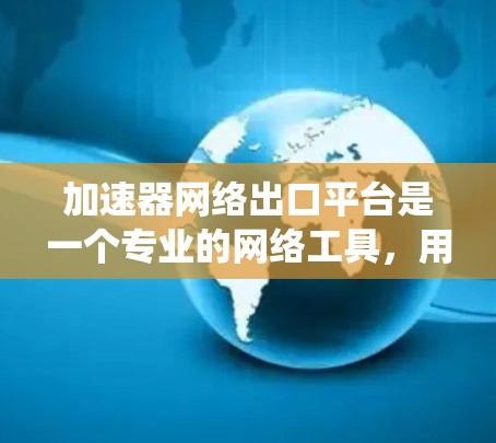 加速器网络出口平台是一个专业的网络工具，用于方便地访问和管理网络资源。以下是对该平台的系统概述