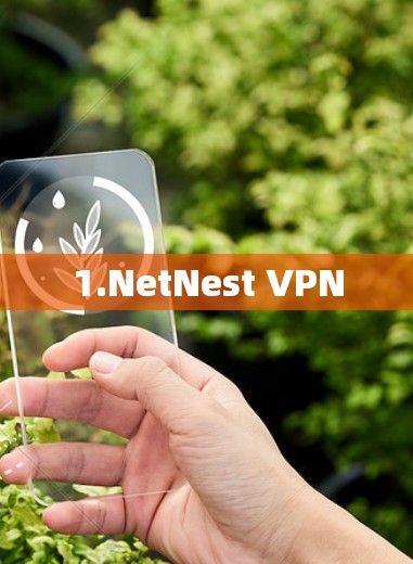 1.NetNest VPN