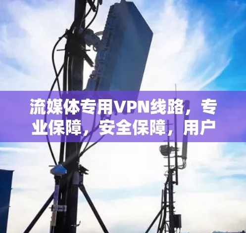 流媒体专用VPN线路，专业保障，安全保障，用户放心