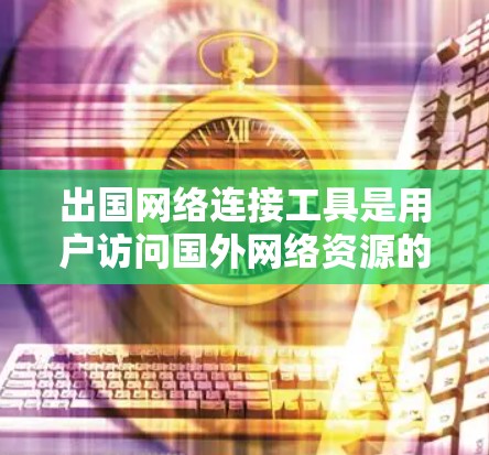 出国网络连接工具是用户访问国外网络资源的工具，主要包括国内的国内VPN服务和国际的国际VPN服务。以下是对这些工具的详细分析