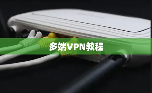 多端VPN教程