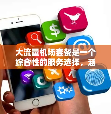 大流量机场套餐是一个综合性的服务选择，涵盖了多种因素，具体取决于用户的使用场景和预算。以下是根据不同的需求和情况，对大流量机场套餐的推荐和评价