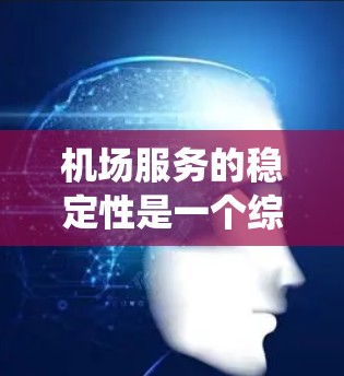 机场服务的稳定性是一个综合性的系统，涉及多个环节和因素。机场服务的稳定性和效率直接影响着乘客的体验和机场的运营效率。以下是对机场服务稳定性分析的关键点