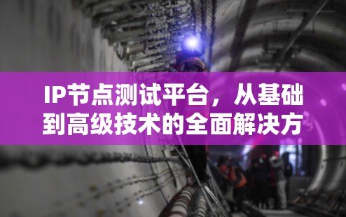 IP节点测试平台，从基础到高级技术的全面解决方案