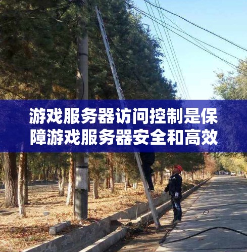 游戏服务器访问控制是保障游戏服务器安全和高效运行的关键工具，以下是逐步的指南和详细的步骤
