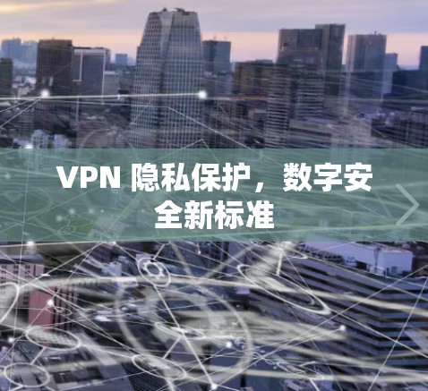 VPN 隐私保护，数字安全新标准