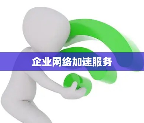 企业网络加速服务