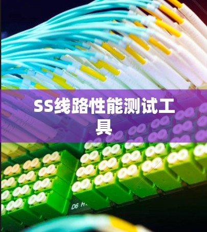 SS线路性能测试工具