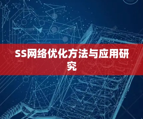 SS网络优化方法与应用研究