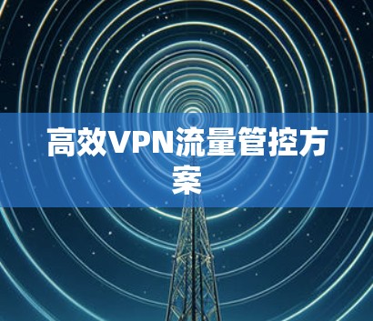 高效VPN流量管控方案