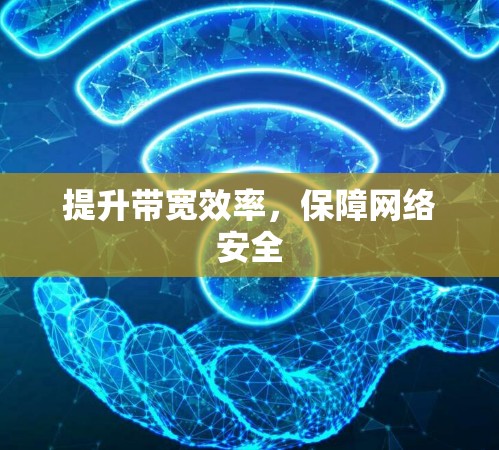 提升带宽效率，保障网络安全