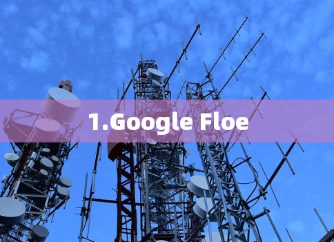1.Google Floe