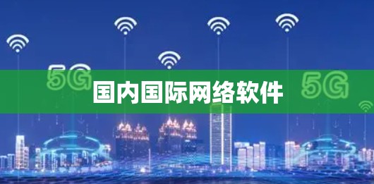 国内国际网络软件