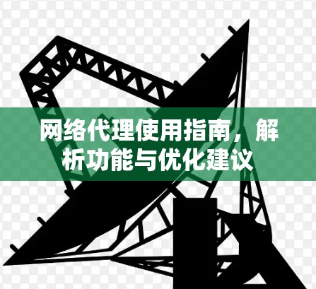 网络代理使用指南，解析功能与优化建议