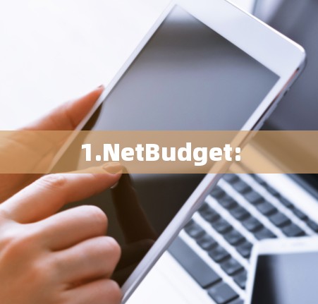 1.NetBudget: