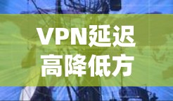 VPN延迟高降低方法多种多样，以下是一些常见的解决方法