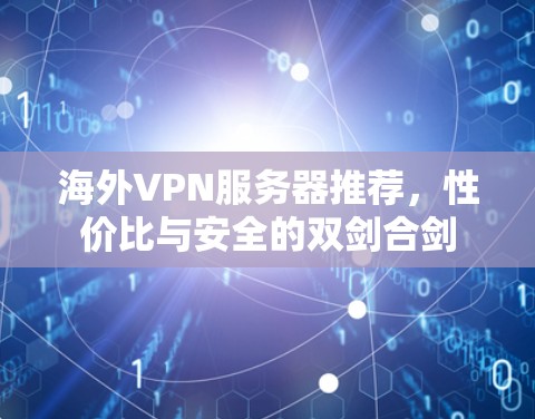 海外VPN服务器推荐，性价比与安全的双剑合剑