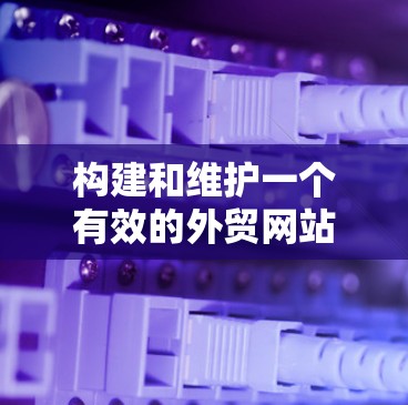 构建和维护一个有效的外贸网站，需要综合运用多方面的知识和技能。以下是一步步的建议