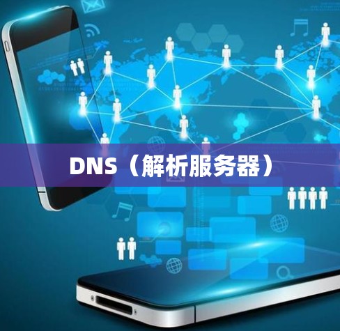 DNS（解析服务器）