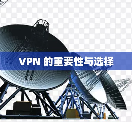 VPN 的重要性与选择