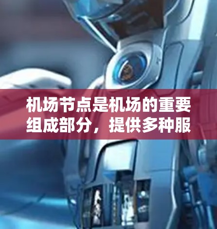 机场节点是机场的重要组成部分，提供多种服务以确保乘客的顺利进入和离开。以下是对机场节点的详细说明