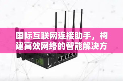 国际互联网连接助手，构建高效网络的智能解决方案