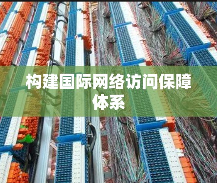 构建国际网络访问保障体系