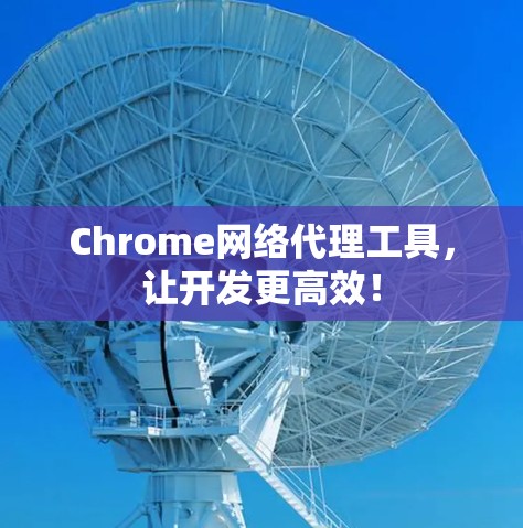Chrome网络代理工具，让开发更高效！