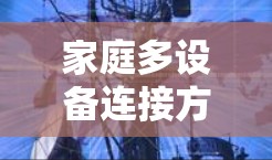 家庭多设备连接方案，技术与实践的结合